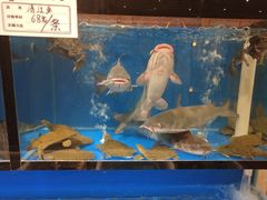 -望海湾·清真餐厅