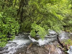 -叠溪松坪沟景区