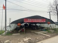-喜杨洋草莓采摘园
