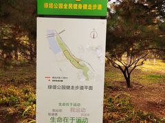 -绿堤公园