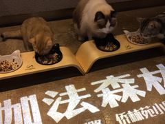 -咖法森林·咖啡  酒吧(天河店)