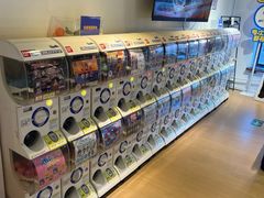 -animate(北京店)