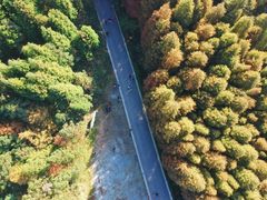 -山王坪喀斯特国家生态公园