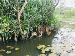 -白沙门生态公园