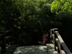 -桃花岛景观公园