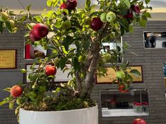 -茅庐·川粤精品私房菜(金沙遗址店)