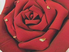 -BoAcake 宝儿蛋糕定制(古城·华景苑店)