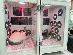-FAELING PETS美天灵宠物(富力广场店)