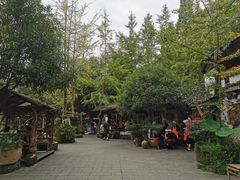 大堂-青城甲(青城山店)