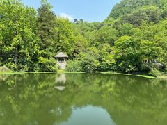 -黔灵山公园
