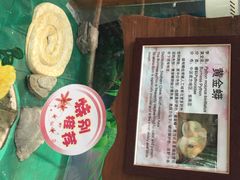 -上海大自然野生昆虫馆