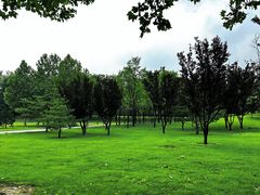 -北坞公园