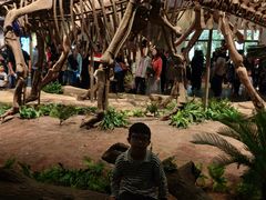 -自贡恐龙博物馆