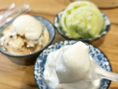 椰子-歎雪糕低糖低脂Gelato冰淇淋