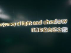 -奥斯卡升龙国际影城(RealD Cinema)