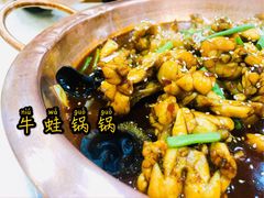 香辣牛蛙-晓林火锅(安定门店)