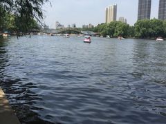 南湖公园-沈阳南湖公园
