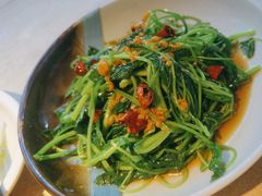 -佬肥猫(七宝宝龙店)