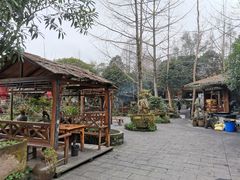 -青城甲(青城山店)