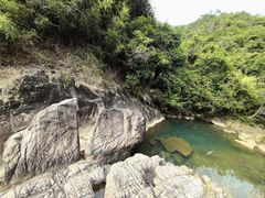 -广州白江湖森林公园