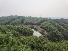 -沐川竹海旅游景区