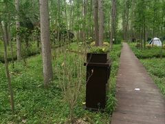 -合肥滨湖国家森林公园