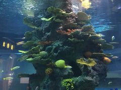 -福州罗源湾海洋世界旅游区