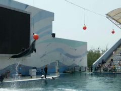 -北戴河圣蓝海洋公园