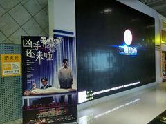 -奥斯卡升龙国际影城(RealD Cinema)