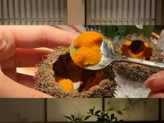 -乌君·酒场·炭火烧鸟(侨城坊店)
