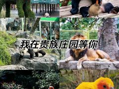 -红山森林动物园