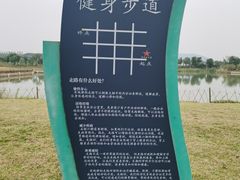 -西京湾花海
