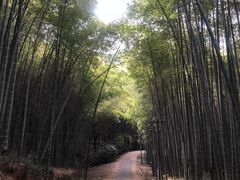 -苏州环秀晓筑养生度假村
