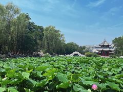-莲池书院博物馆