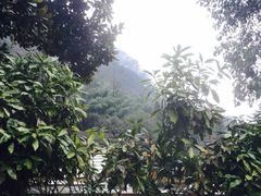 -黄山温泉国际旅游度假区