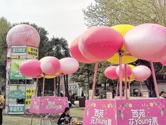-西苑公园