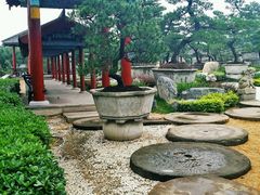 android_upload_pic-中国唐苑