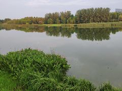 -滨湖塘西河公园