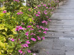 -厦门国家会计学院