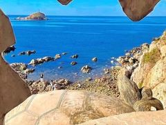 -养马岛旅游度假区