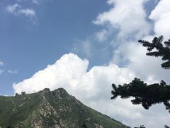 -牛背梁国家森林公园
