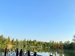 -泗洪洪泽湖湿地景区