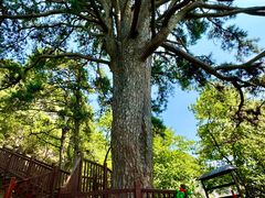 -终南山南五台景区