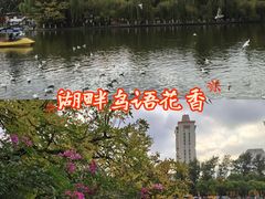 -翠湖公园