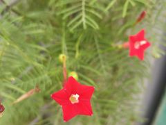 -中国中医科学院西苑医院(本部)
