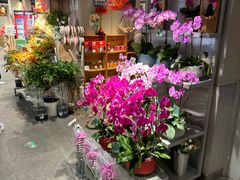 -盒马鲜生(双清路店)