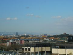 -喜悦烤鸭·新京菜(王府井店)