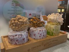 -烹然四季椰子鸡火锅(团结湖总店)