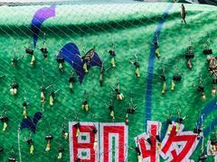 -上海大自然野生昆虫馆(东方明珠·爬宠昆虫探索中心)