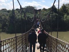 -吴淞炮台湾湿地森林公园烧烤区